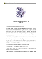 Entregas Matinais - Stephen King.pdf